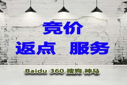 百度平台推广：成功案例解析与效果分析